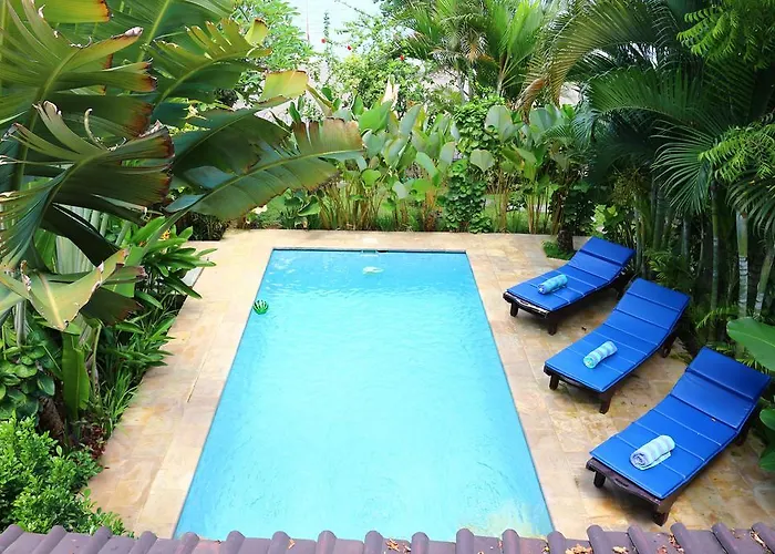 Lovina Beachhouse s