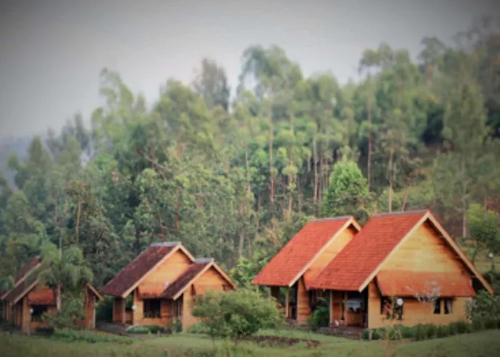 Kebun Mawar Situhapa