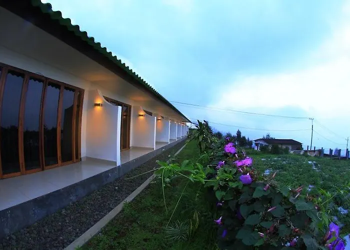 Ancala Inn Bromo