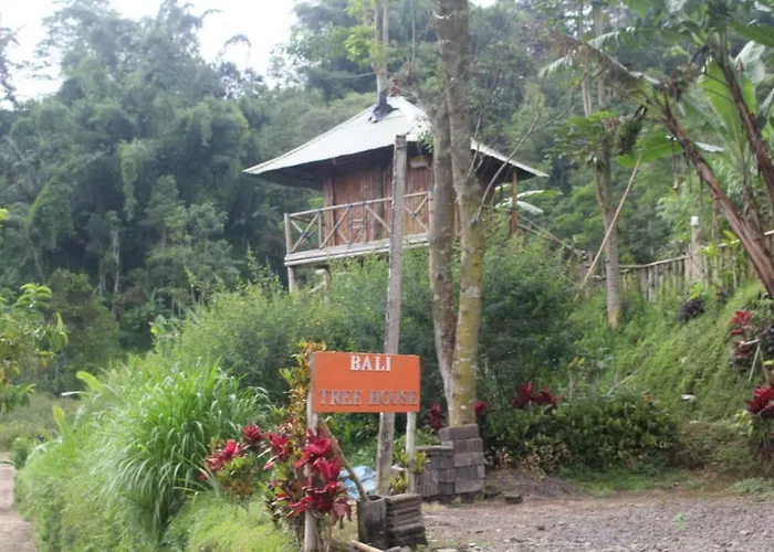 Ferienwohnung Bali Tree House Pelangi Bedugul , Indonesien
