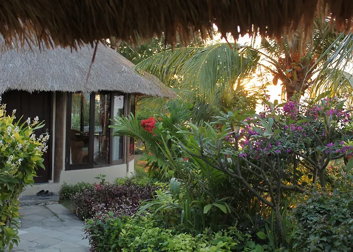 Coconuts Beach Resort