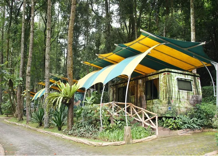 Safari Resort