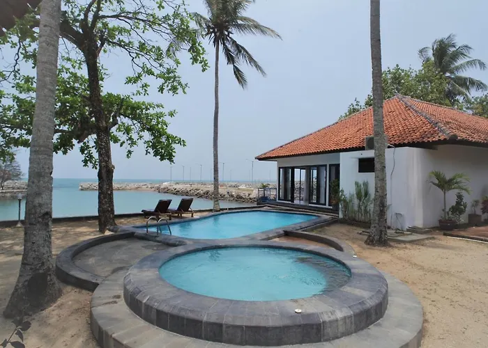 Bintang Laut